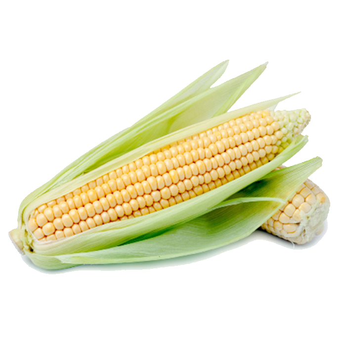 Elote Entero 1pza
