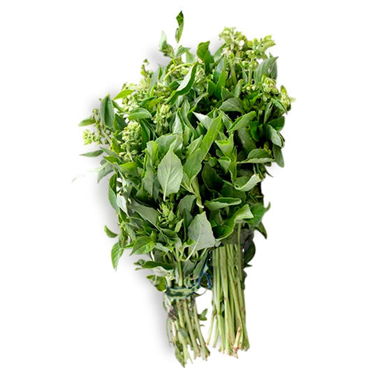 Albahaca Manojo 1pza