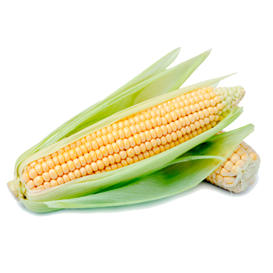 Elote Entero 1pza