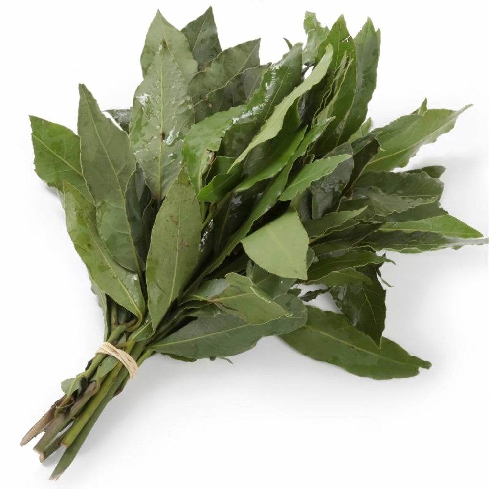 Laurel Manojo 1pza - MI MEXICANA