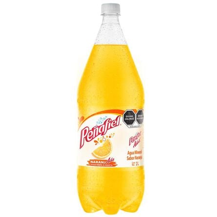 Agua Mineral Peñafiel Adas Naranjada 2L