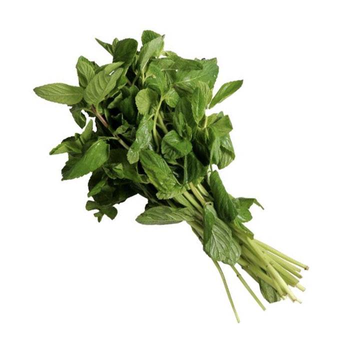 Hierbabuena Manojo 1pza - MI MEXICANA