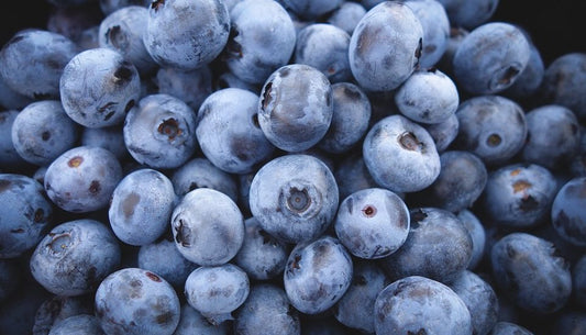Arandano 100g