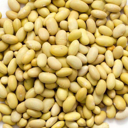 Frijol Peruano Granel 100g